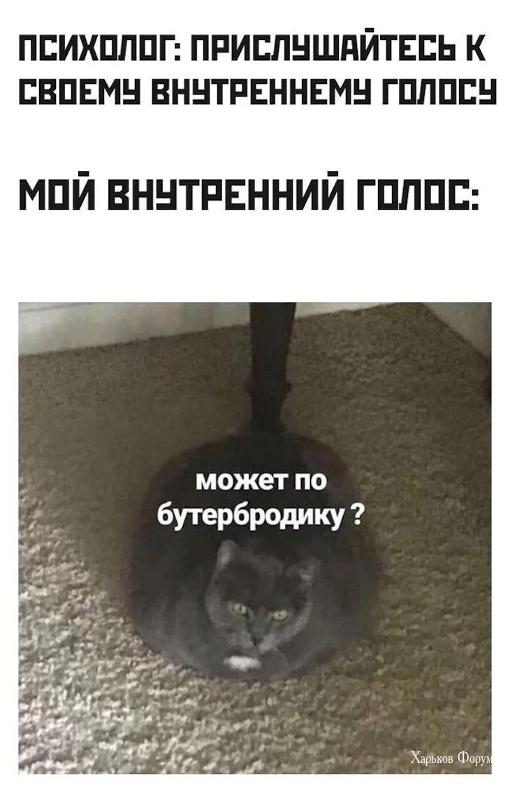 1d7326146158151d6c74c9a6.webp