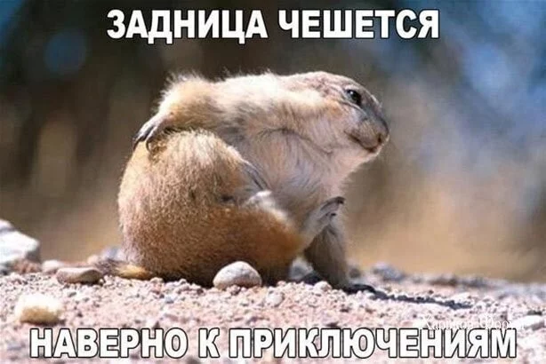 1d75befcaca33a976f990.webp
