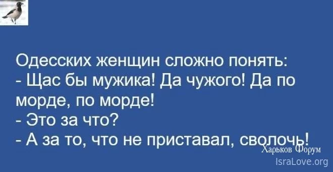1d805ec3aeb4f8ce733.webp