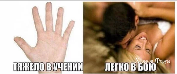 1d8a8e29677de776.webp