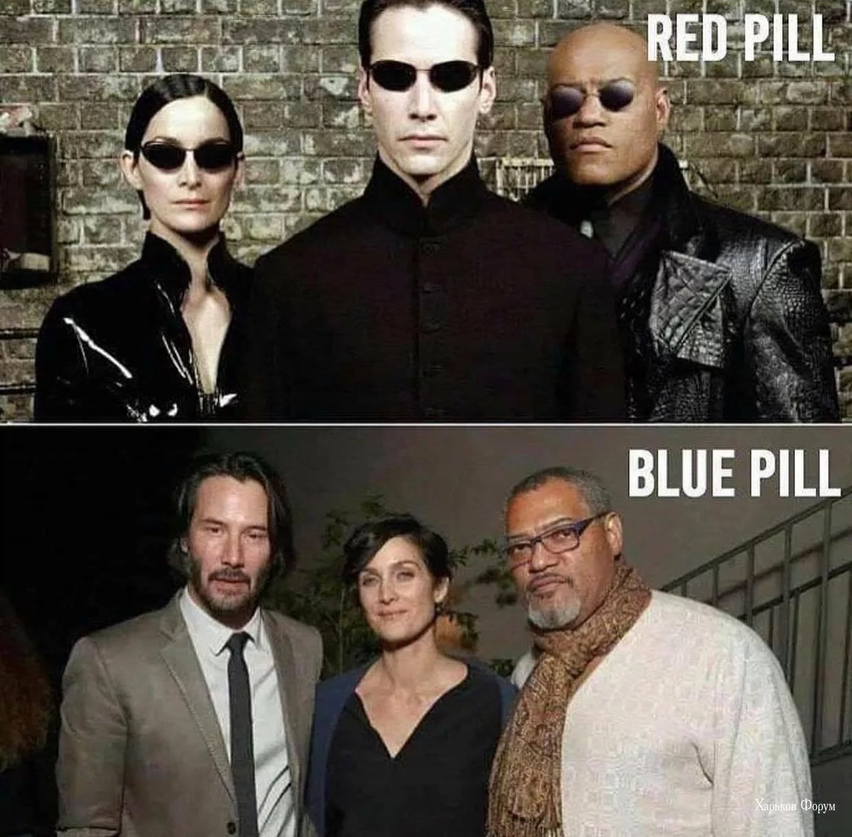1d8ffb0820a473249a4e2938.webp
