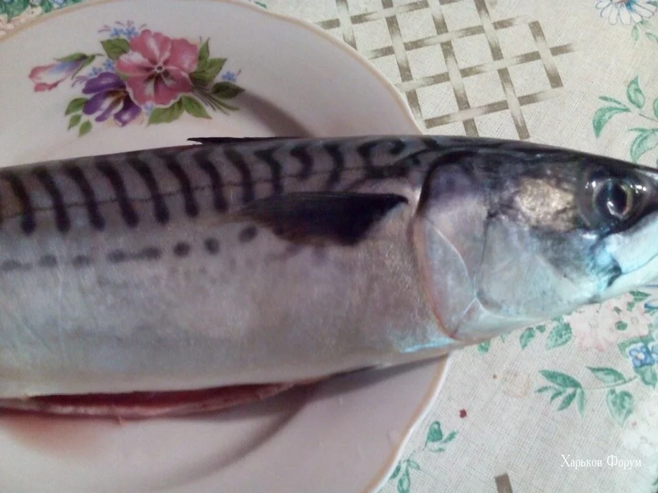 1d940f37ee16182e3f6276.webp