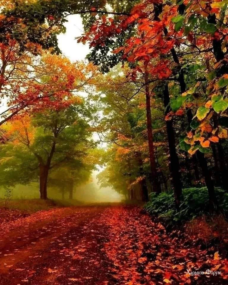 1d99db067495a681a346.webp