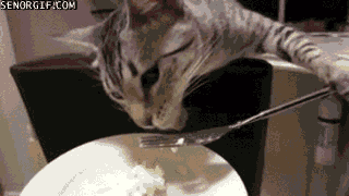 1db0de0deccc91f4da0dde5d.gif