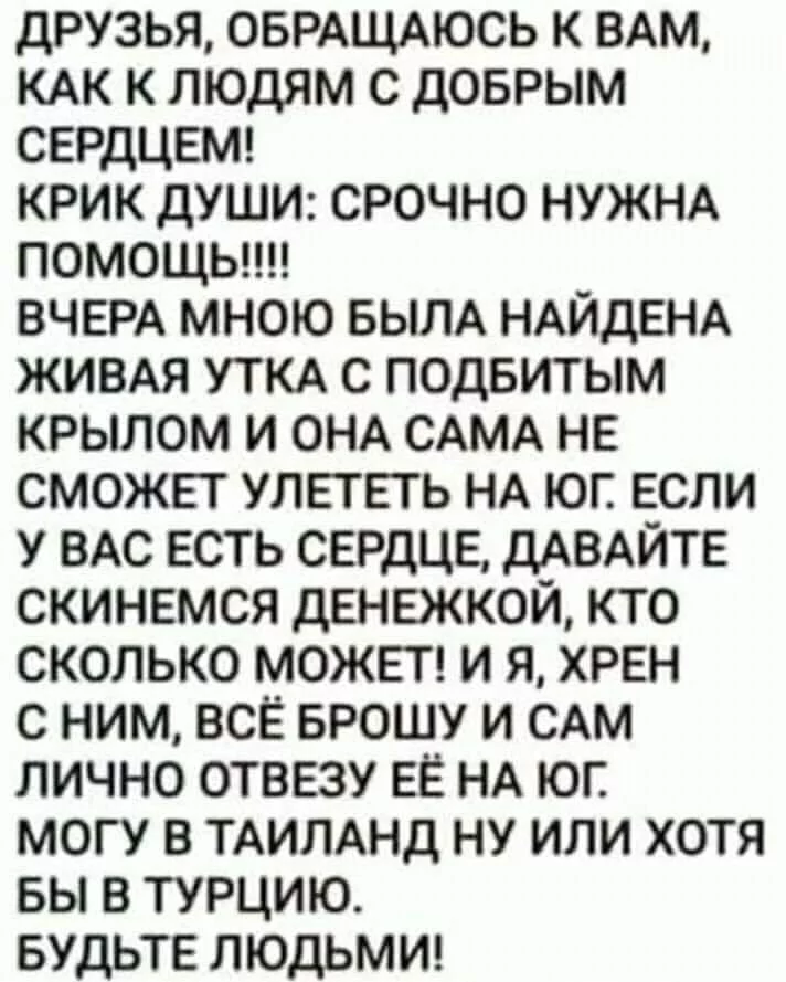 1db2f43e833feec8b1bae.webp