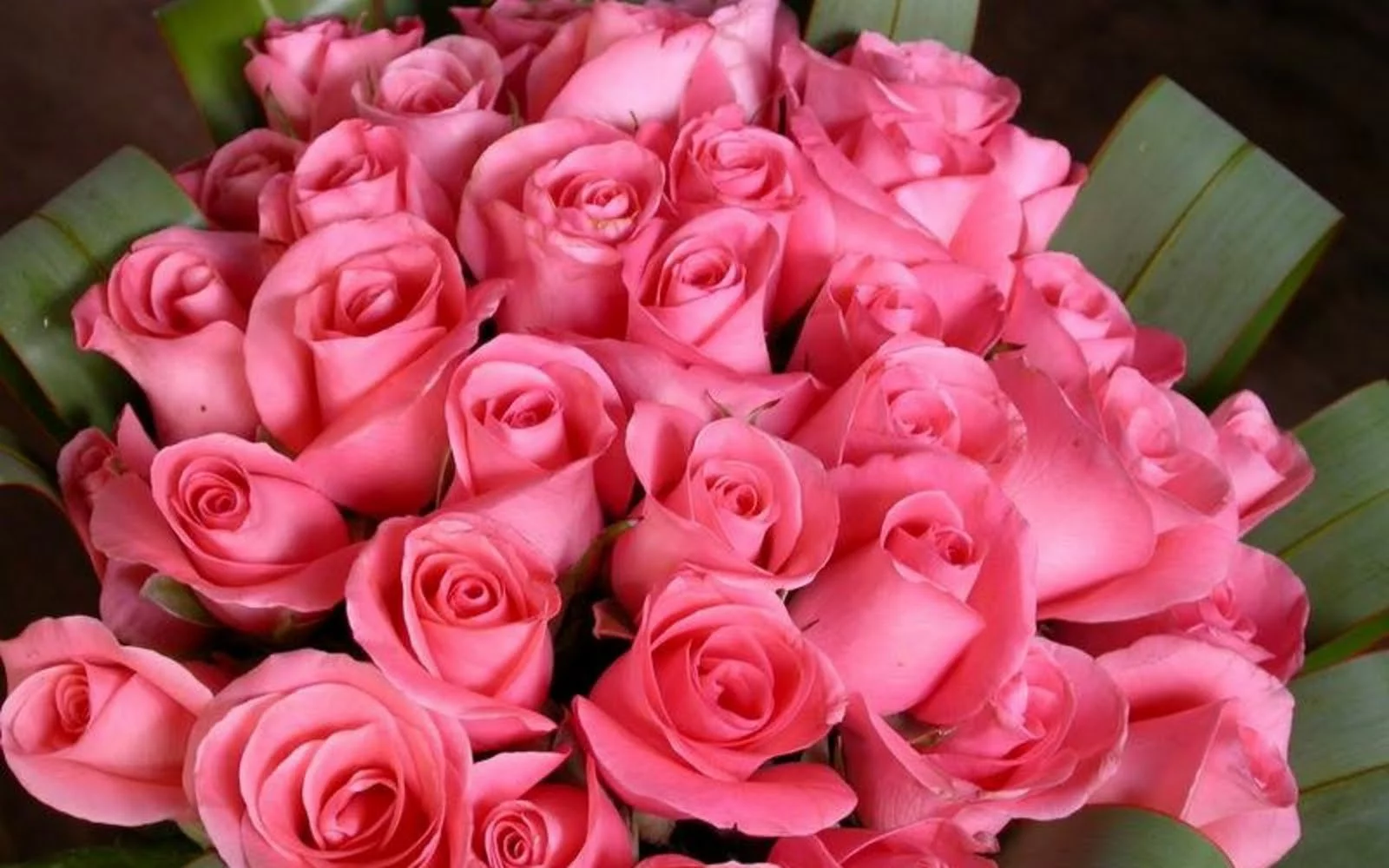 1dbbcg.webp