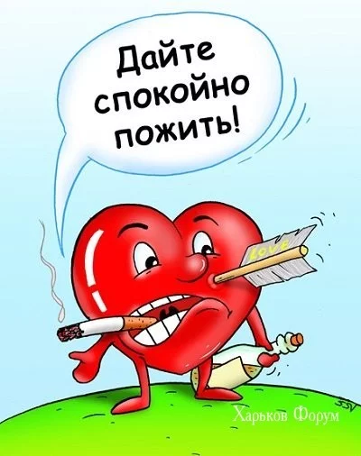 1dd32cd17f54b7eb42a7dc.webp