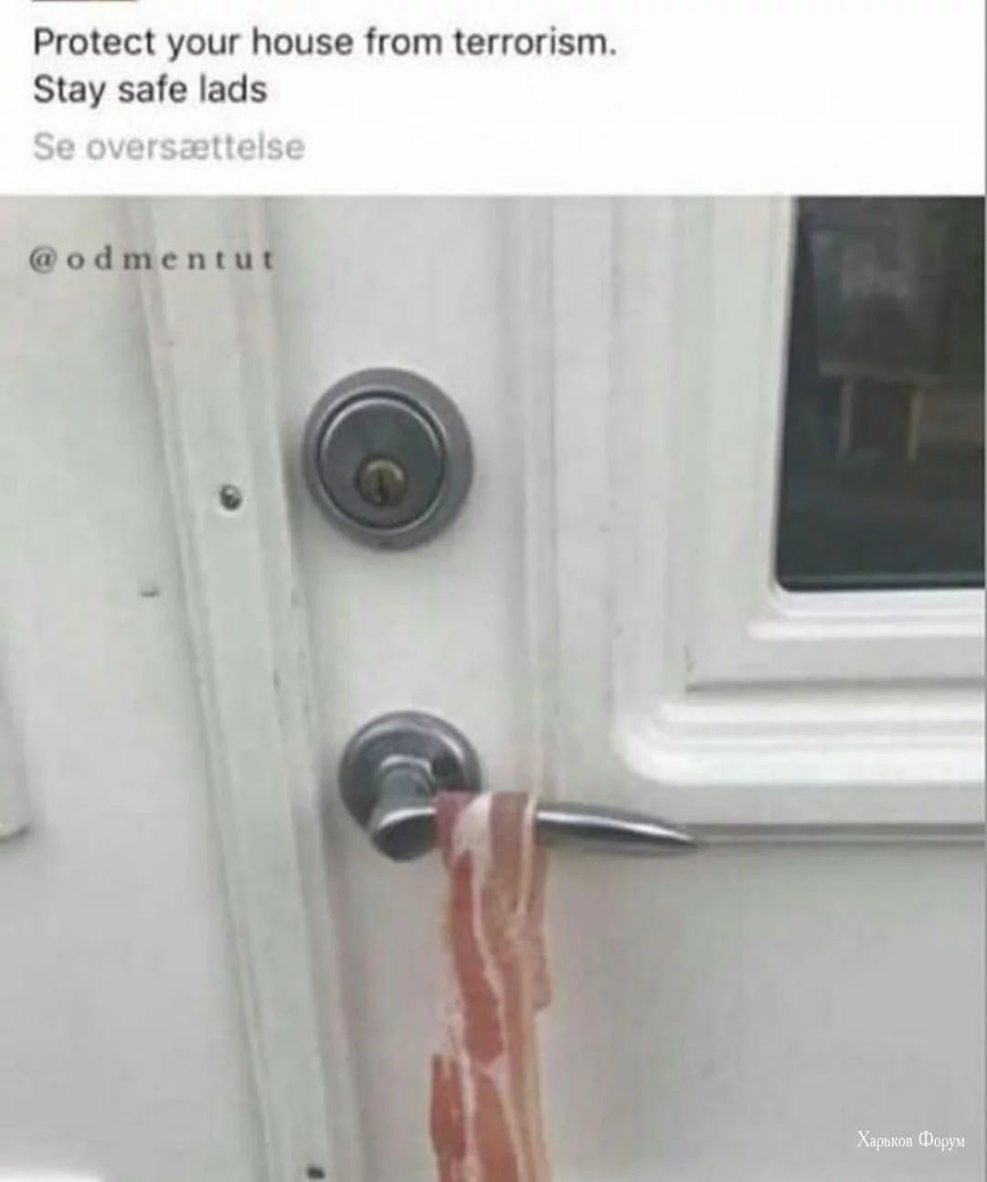 1dd5dd952e4f64f63693.webp