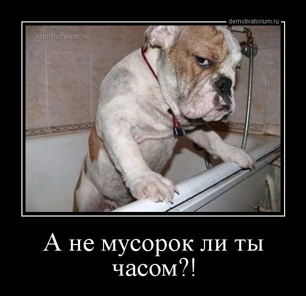 1ddahj.webp