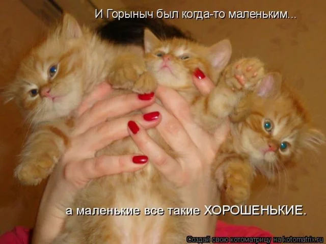 1degag.webp