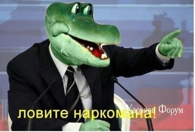 1df4d6f015773b017bc5.jpg