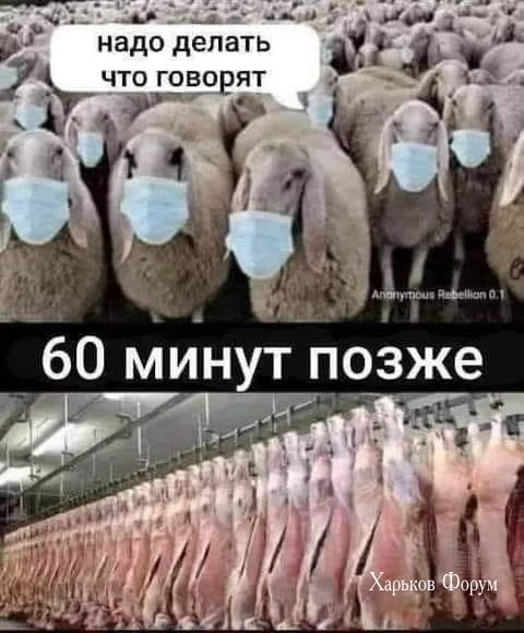 1df67f3de038228efd47.webp