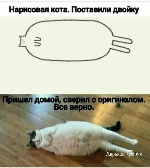 1df8473c6955a74a706bd6a2.webp