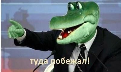 1dgajj.jpg