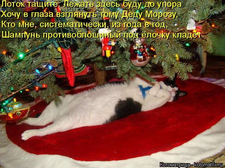 1dghbb.webp