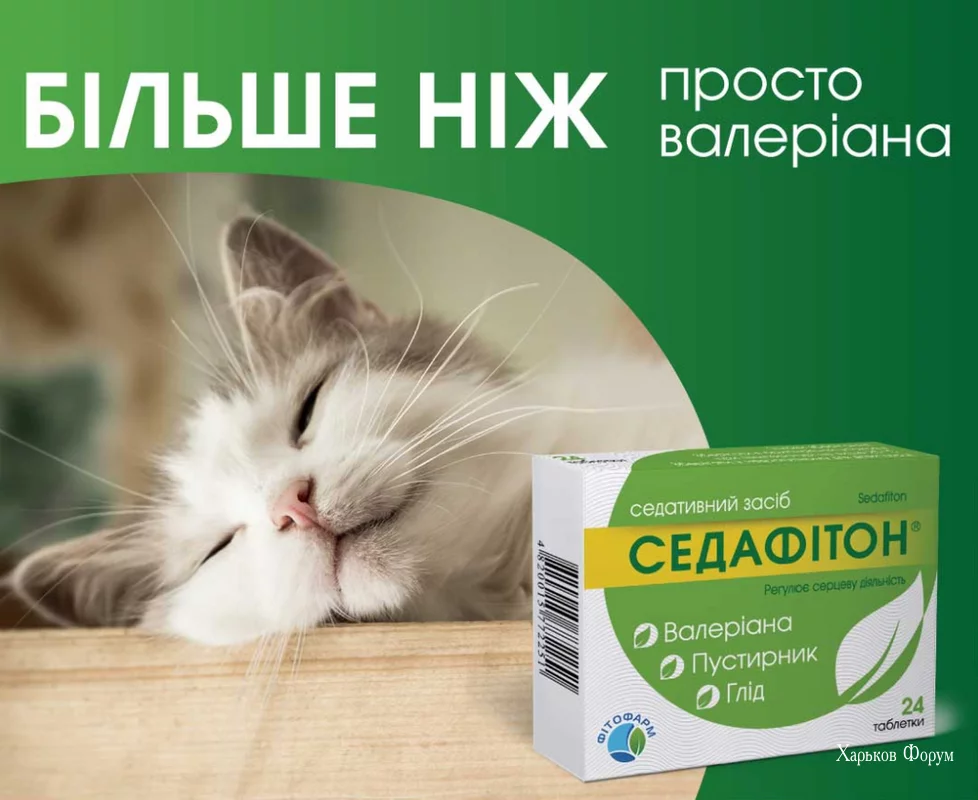 1e024d4441adb992e8432a.webp