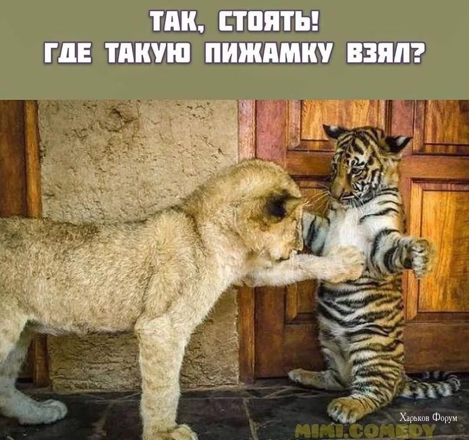 1e09b091ac383ead0b0e839.webp