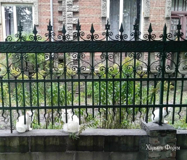 1e193b026900ece218.webp
