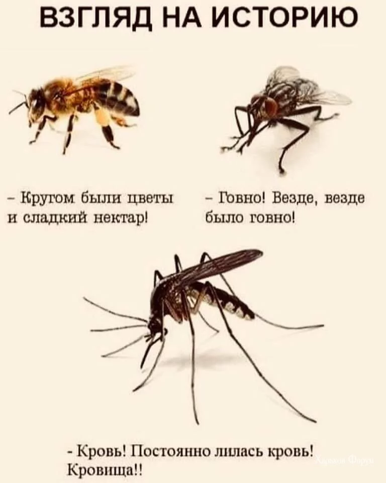 1e28ef97fb1e6d1d.webp