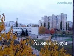 1e33e62fcaec8bf6b642.webp