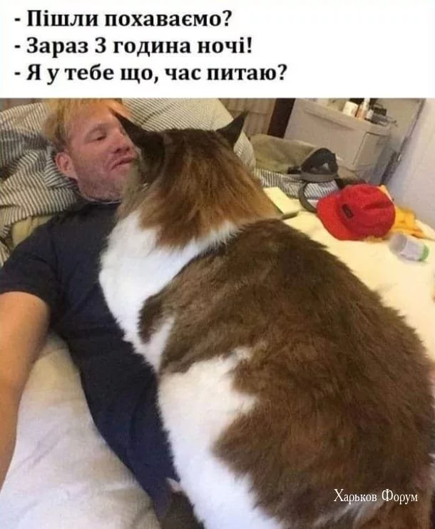 1e349771e52b31c17e8.webp