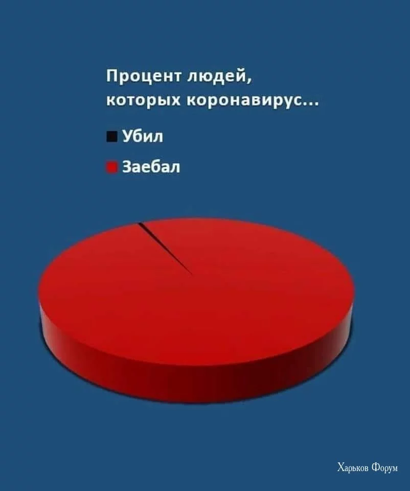 1e39c080d5e62773.webp