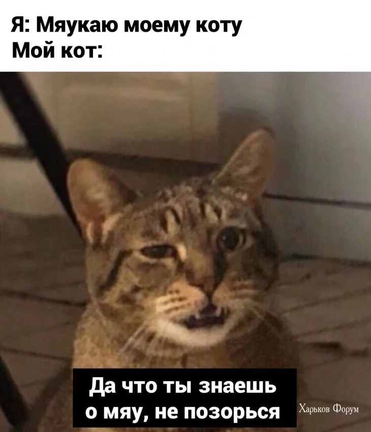 1e3bac8d7fd031e0e.webp