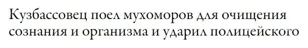 1e523325b3a3bc98e062e0.webp