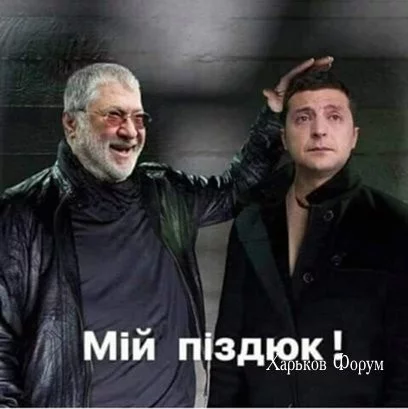 1e5e968551010ab1b8e106.webp