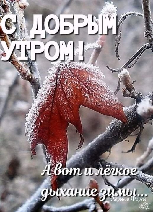 1e6cf93f553a6378c5bc67.jpg