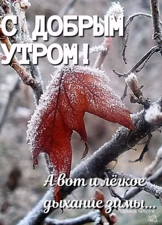 1e6cf93f553a6378c5bc67.webp