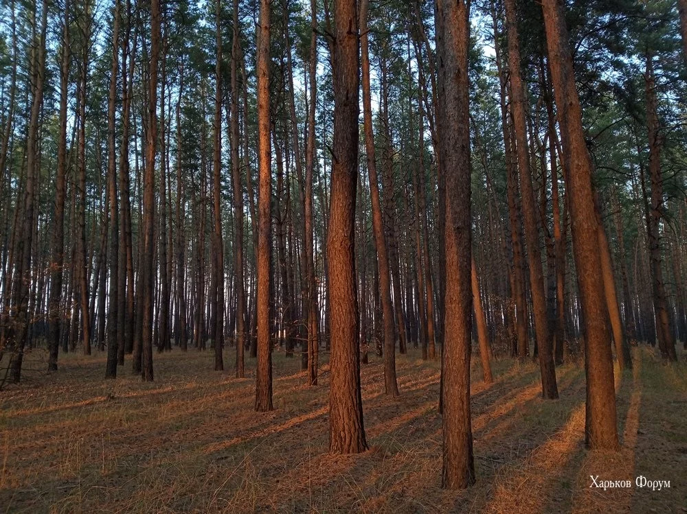 1e75cbf67d5460aa6a.webp