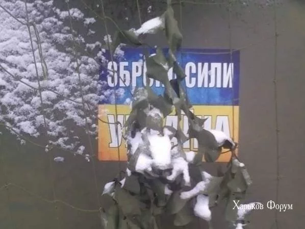 1e802da8b44d45c71.webp