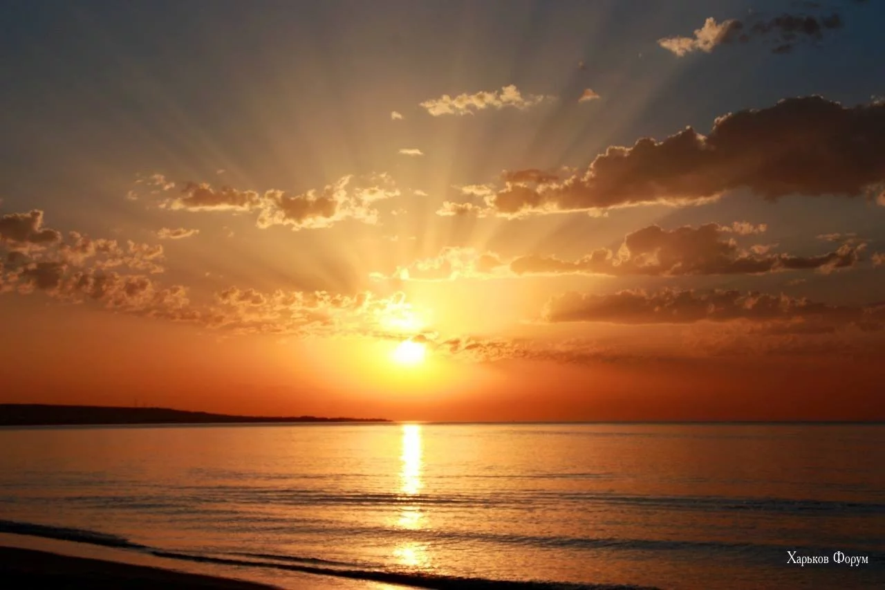 1e92a9569a0a1df2c8.webp