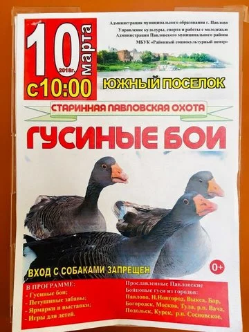 1ebade.webp