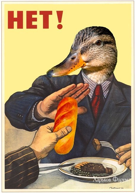 1eca51299094070c044acbb.jpg