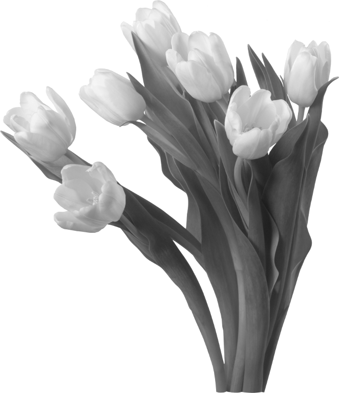 1ed22895f100b7598929eabb69d5487b.png