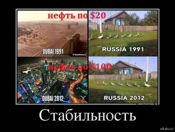 1edfbc.webp