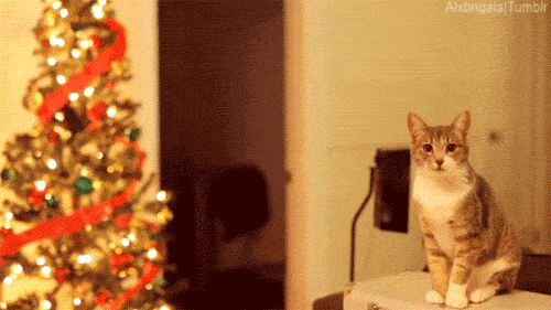 1eeef975f4599ba98f6c4b6.gif