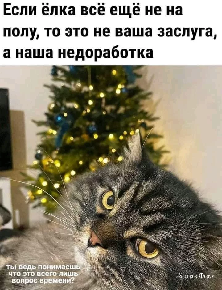 1ef19d6f2ff5ff43102f.webp