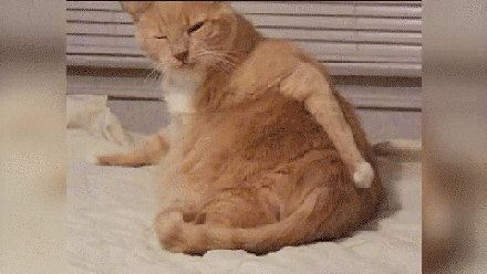 1efcfe.gif