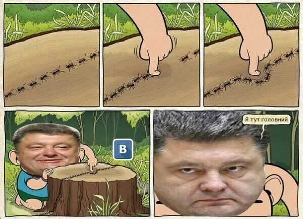 1efgbg.webp
