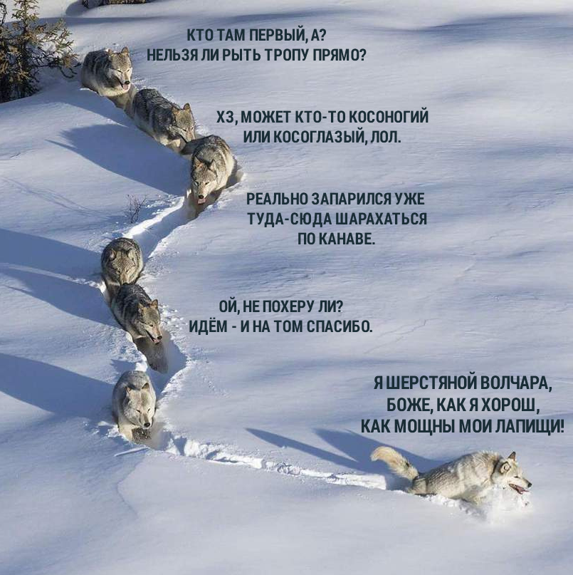 1ejdeg.png