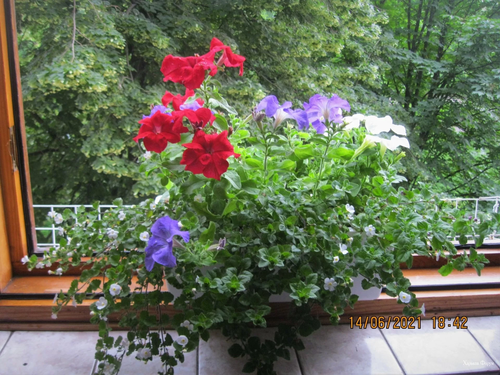 1f054902bdec7dbf8edf.webp