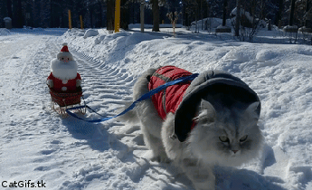 1f18e7ce043afb1607c.gif