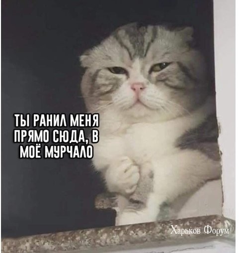 1f293c364fecb957404d4.jpg