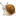 🐌