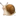 🐌