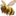 🐝