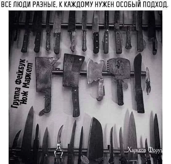 1f43f8cb90a109edcff6b7.webp